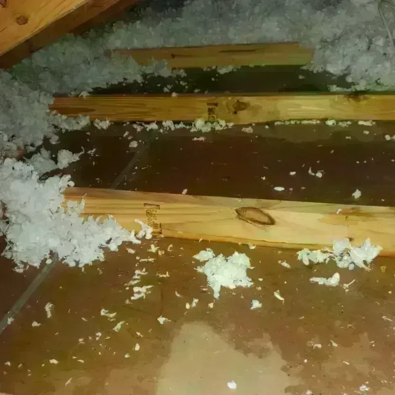 Attic Water Damage in Baldwin, FL