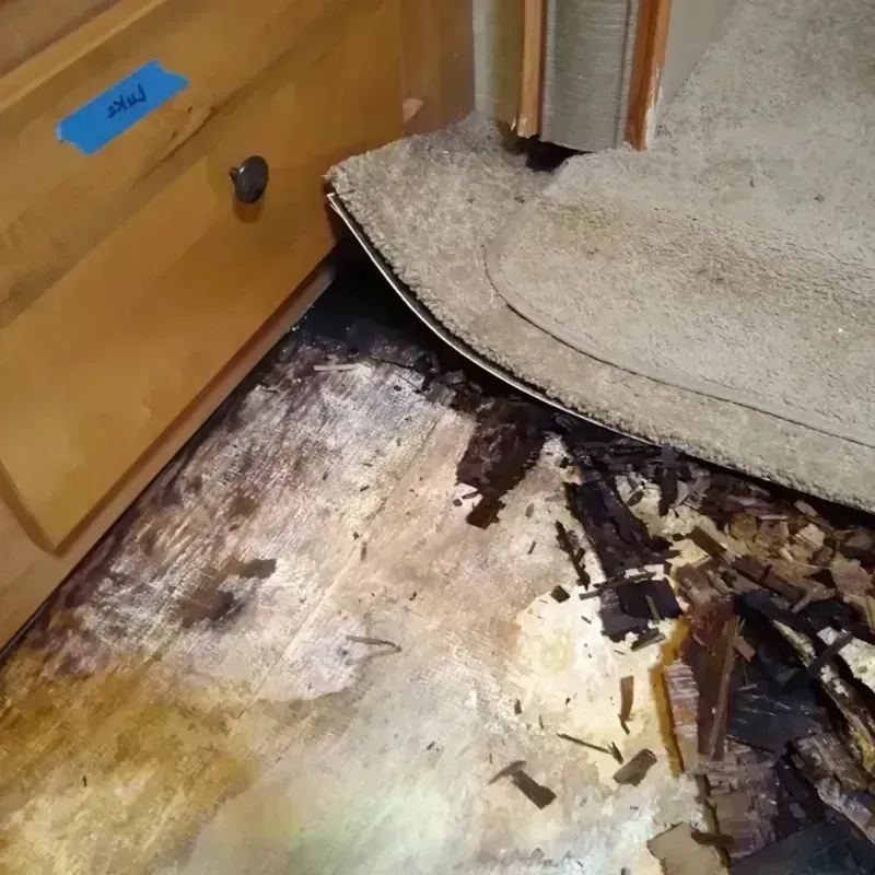 Wood Floor Water Damage in Baldwin, FL